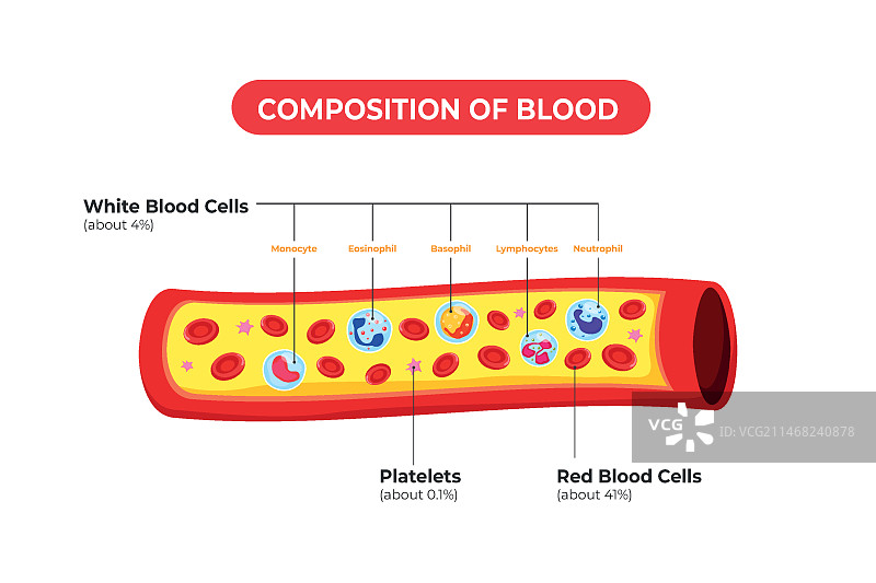 扁平化设计的血液信息图概念图片素材