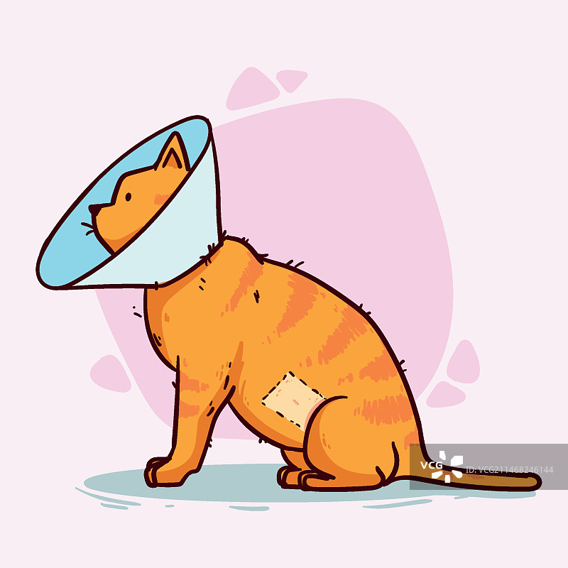 手绘动物绝育插画图片素材