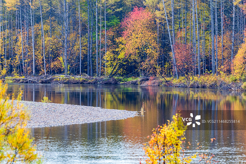 根河湿地秋色图片素材