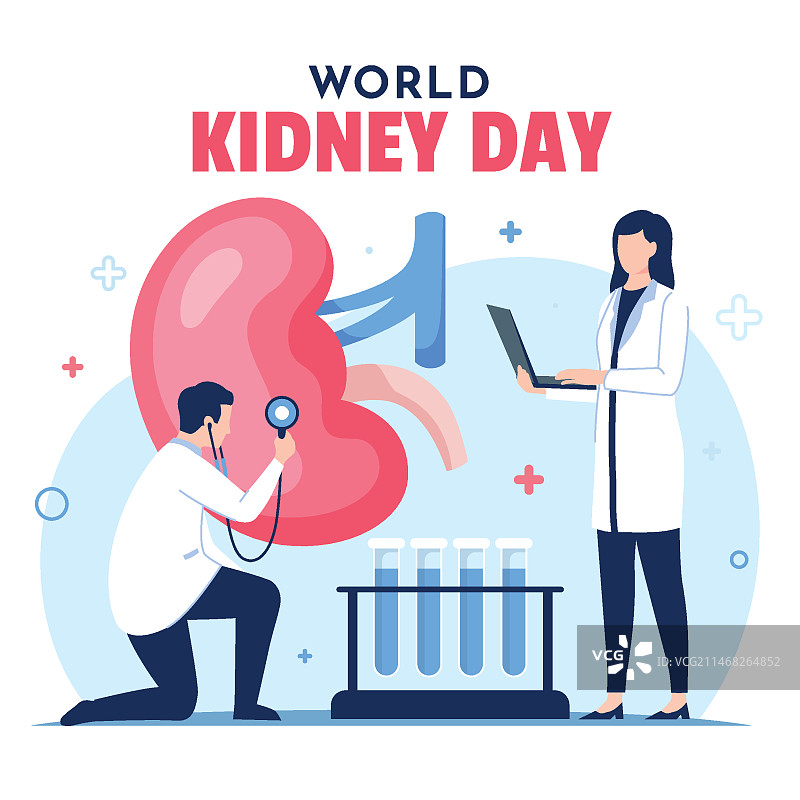世界肾脏日扁平插画图片素材