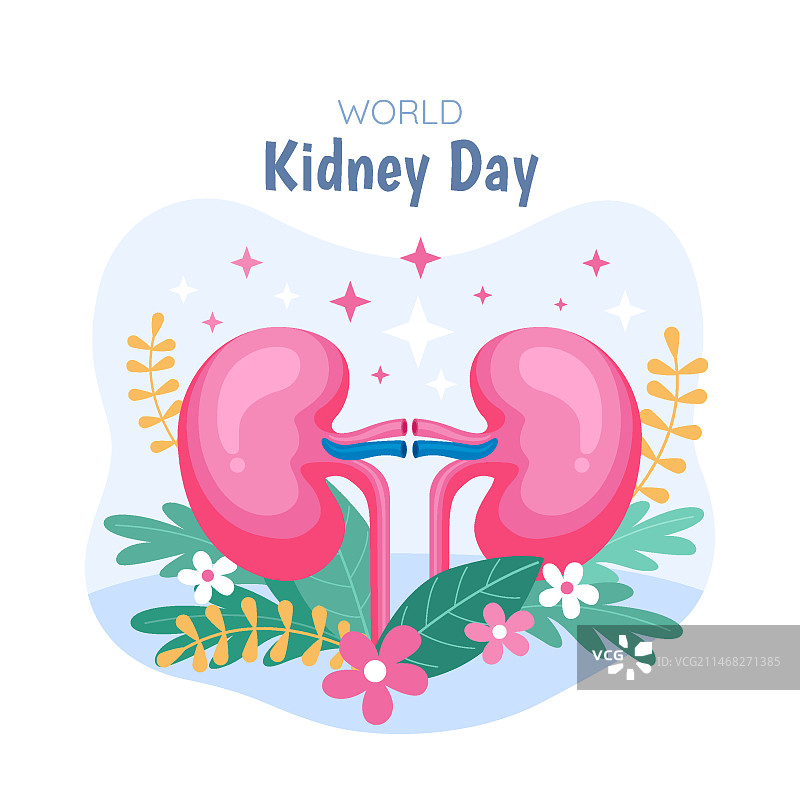 世界肾脏病日宣传扁平风格插画图片素材