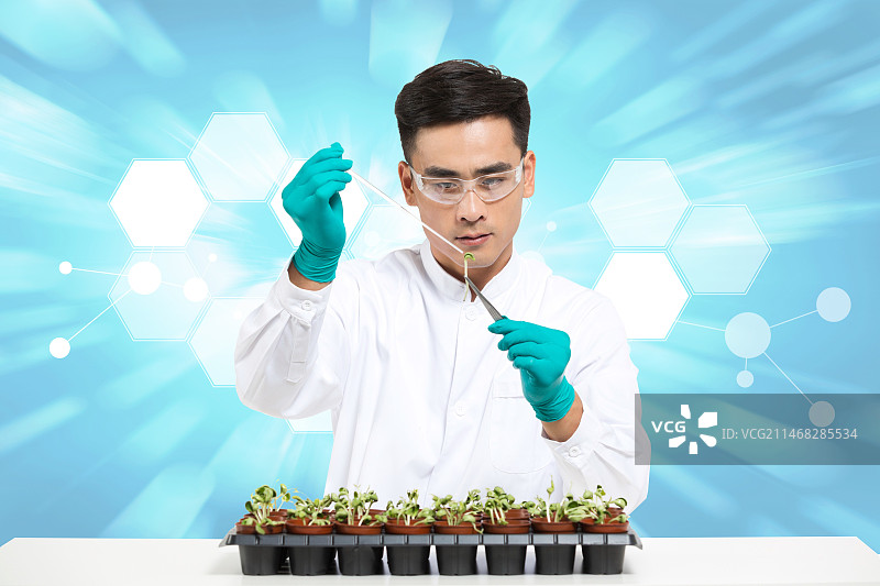 男科学家研究观察植物幼苗图片素材