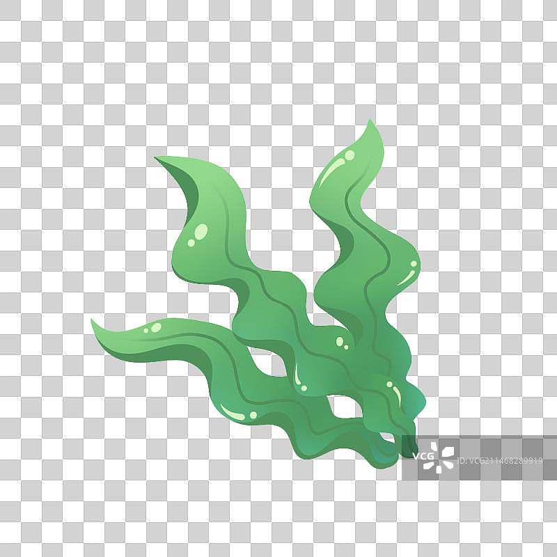 海带，清新卡通系列免扣元素图片素材