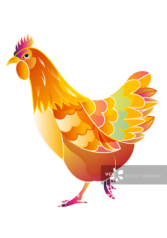 家禽鸡插画元素图片素材