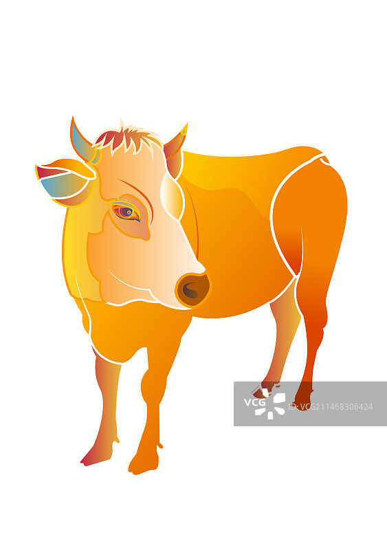 牛矢量插画元素图片素材
