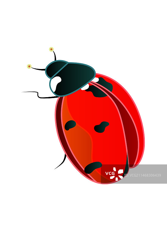 七星瓢虫矢量插画元素图片素材