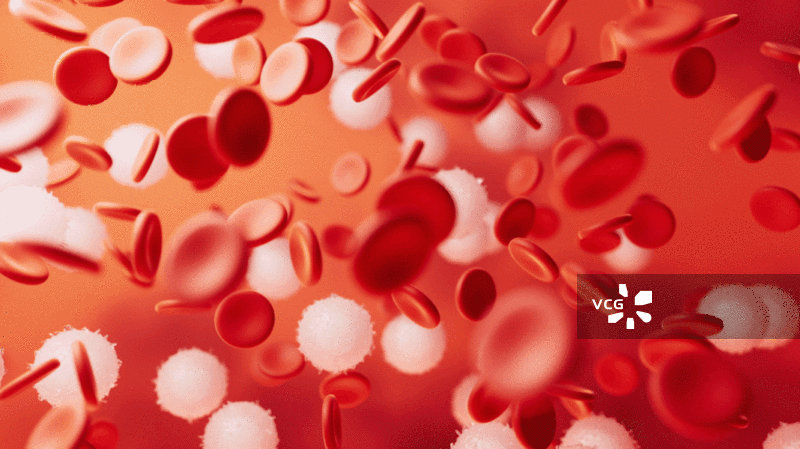 微观血液细胞3D渲染图片素材