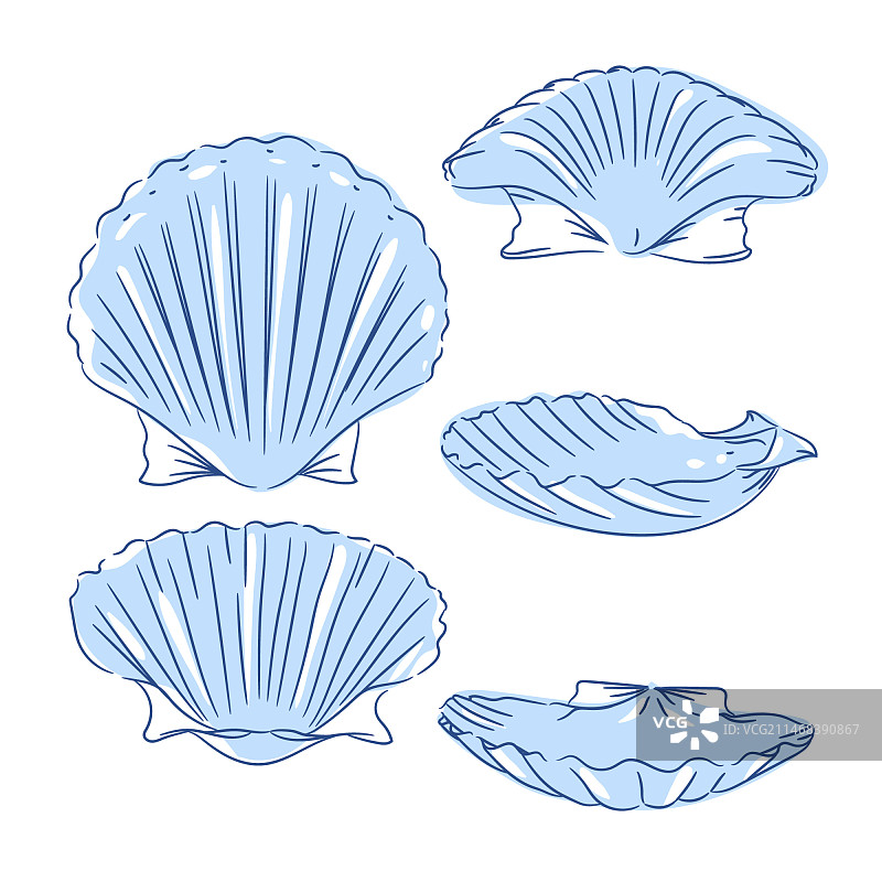 手绘贝壳插画图片素材