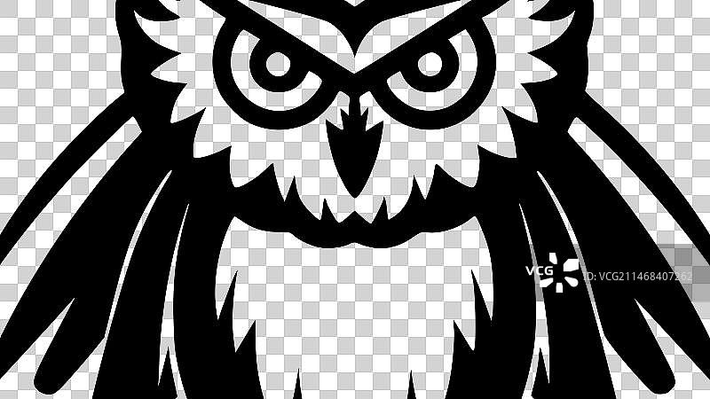 猫头鹰——黑白相间图片素材