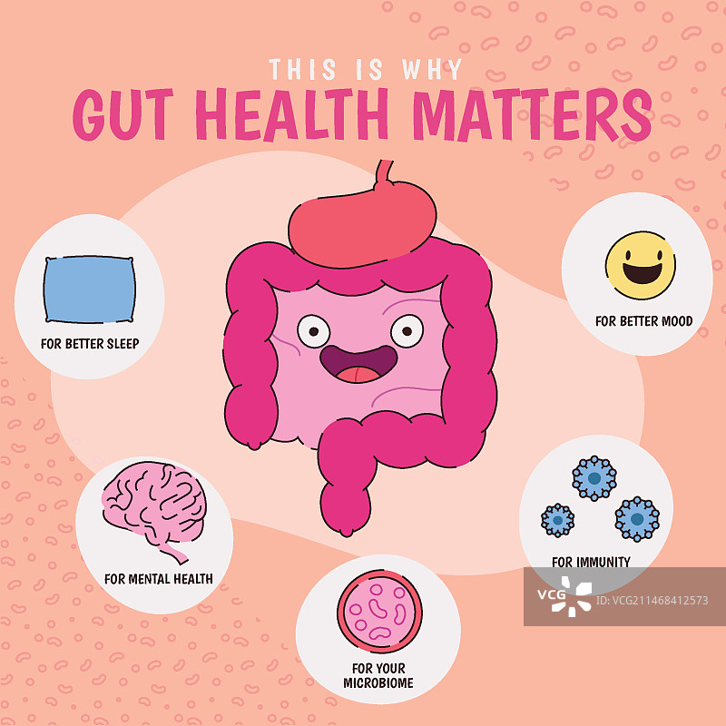 手绘肠道健康信息图图片素材