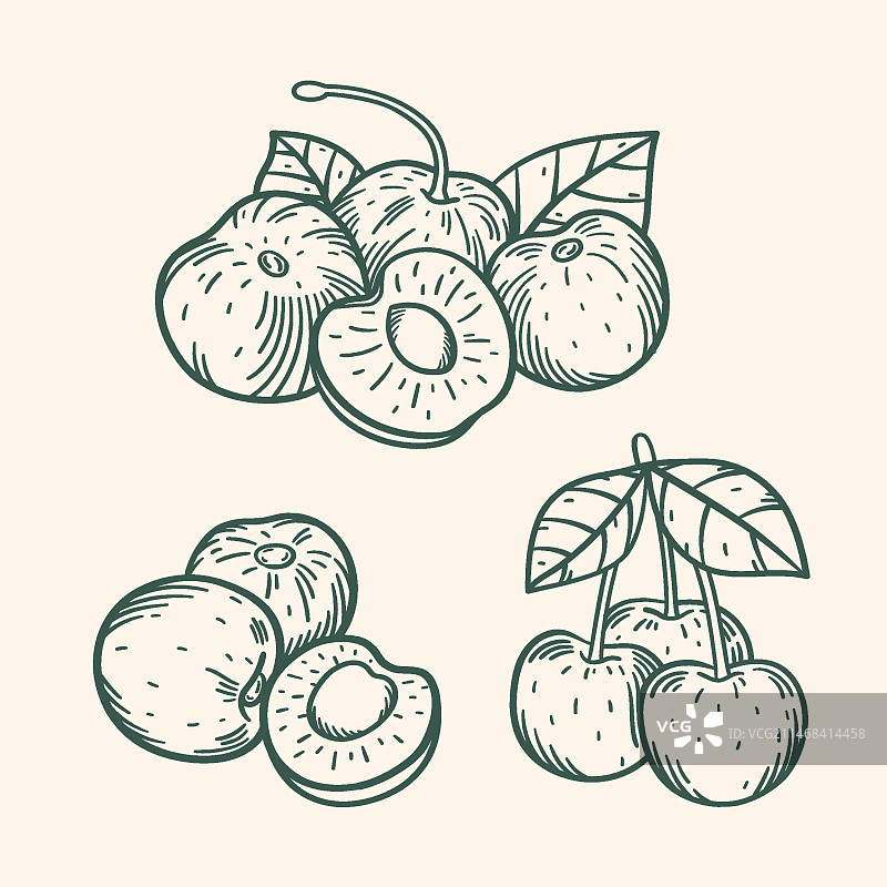 手绘樱桃轮廓插图图片素材