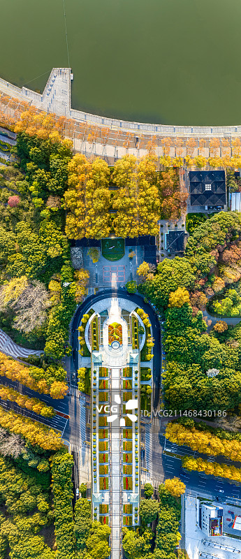 金秋时节的世纪花钟广场 上海浦东世纪公园1号门 梧桐树 花坛时钟图片素材