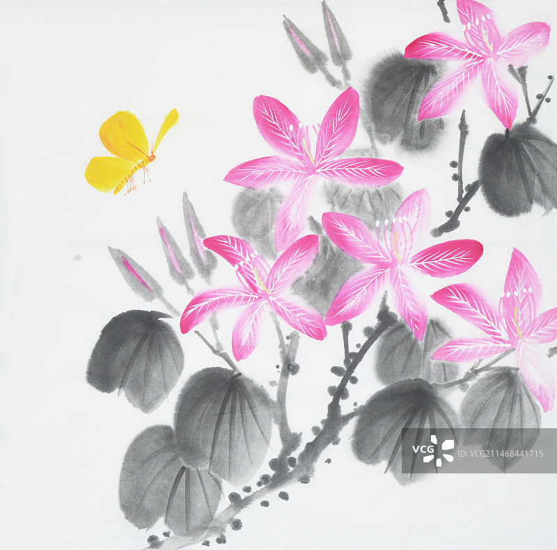 中国画水墨画花卉《紫荆花》图片素材