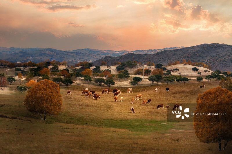 坝上金秋图片素材