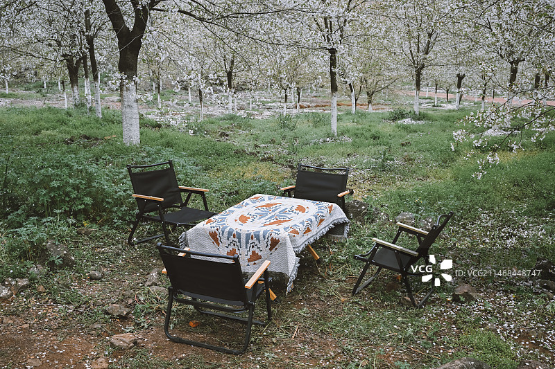 户外活动 郊游 野餐图片素材