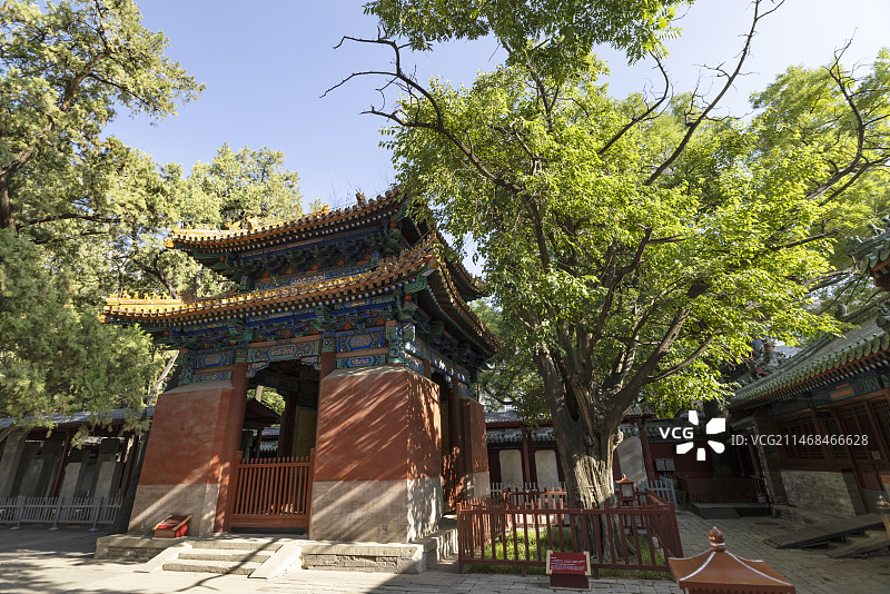 北京孔庙碑亭图片素材