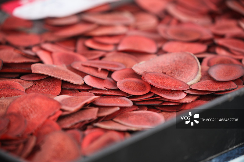 四川红原：名贵药材鹿茸图片素材