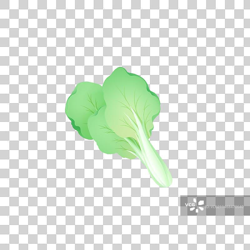 小白菜，清新卡通系列免扣元素图片素材