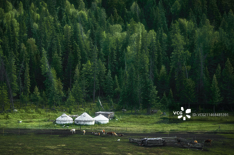 游牧（白哈巴）图片素材