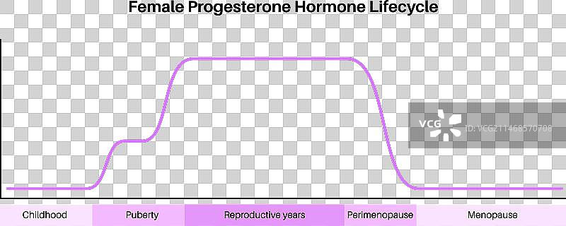 怀孕期间的激素图片素材