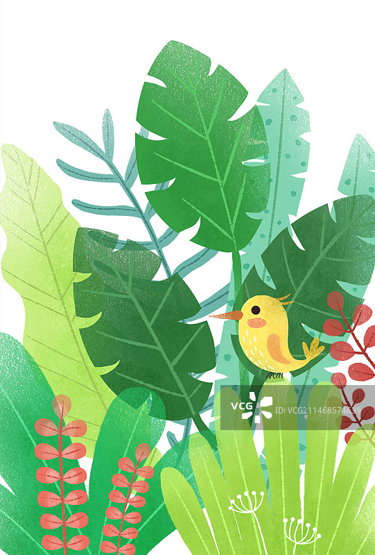 水彩叶子图片素材