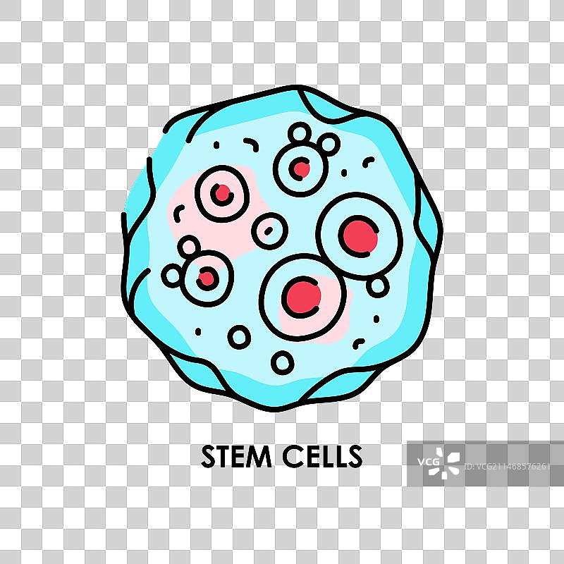 生物细胞彩色线条图标微生物图片素材
