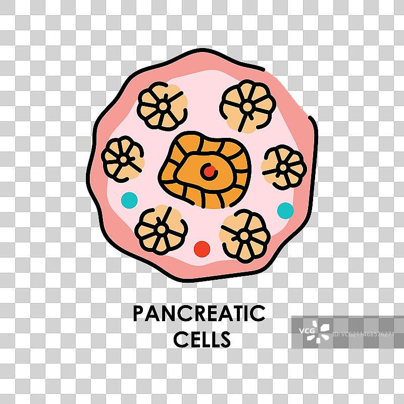 胰腺细胞彩色线条图标微生物图片素材