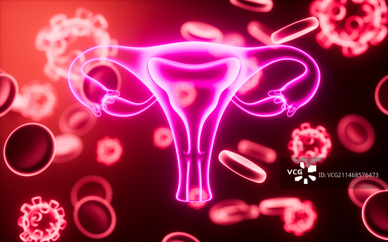 子宫与血细胞生物医疗概念3D渲染图片素材