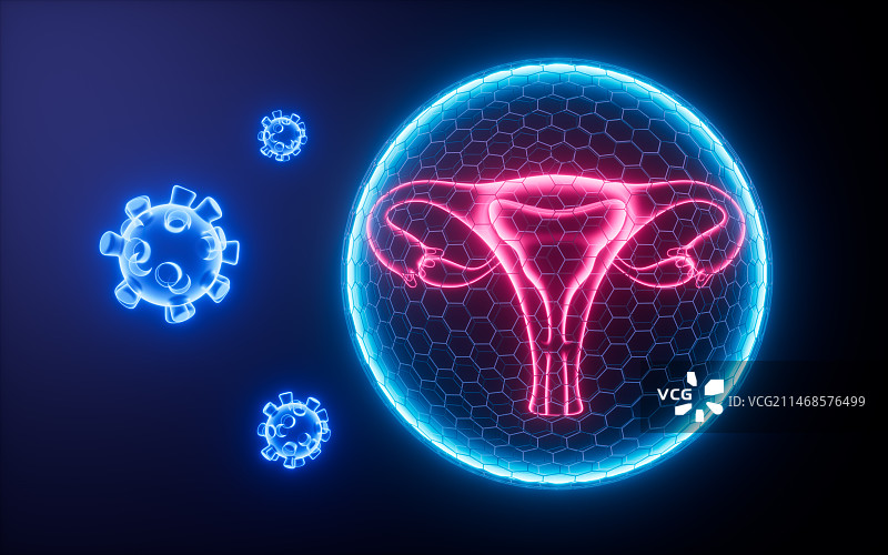 女性子宫解剖图与盾牌保护3D渲染444图片素材