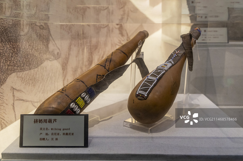 国家自然博物馆（原北京自然博物馆）神奇的非洲厅：挤奶用葫芦，产地：肯尼亚、坦桑尼亚，捐赠人：贝林图片素材