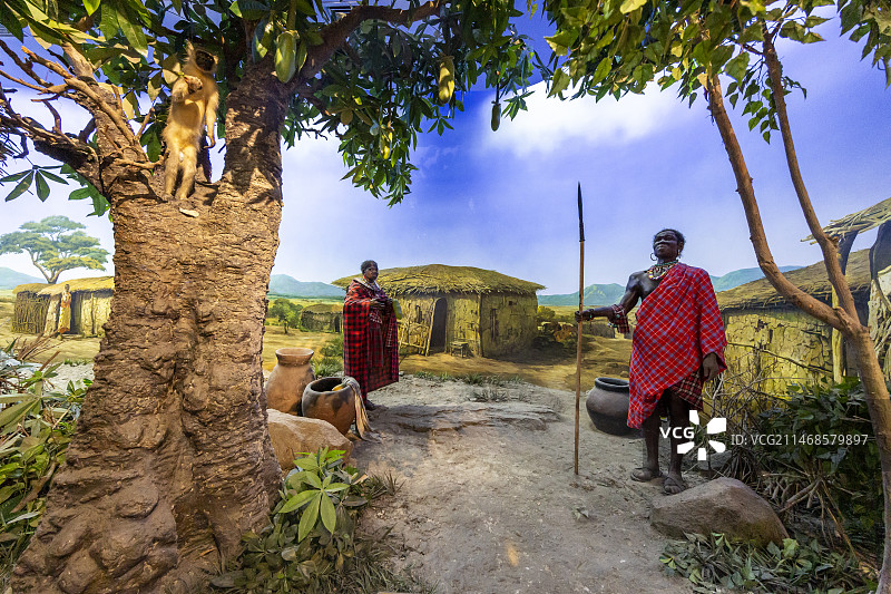 国家自然博物馆（原北京自然博物馆）神奇的非洲厅：马赛人的村庄（坐落在广袤的热带稀树草原上）图片素材