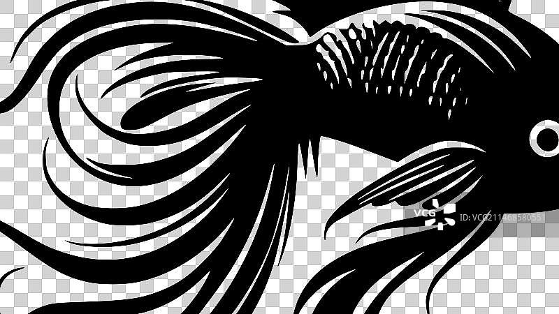 鱼——黑白相间图片素材