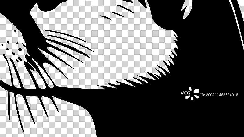 水獭 - 简约剪影图片素材