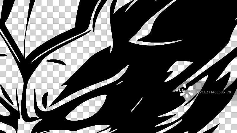 黑白孤立的野生猫科动物图标图片素材