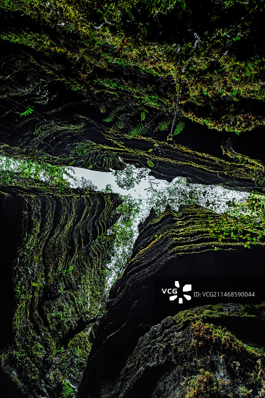 湖北恩施梭布垭石林，三面岩石崖面长满青苔，露出天空缝隙像是一只老鹰，取名雄鹰展翅图片素材