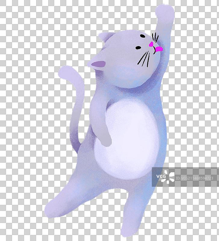 保暖物品-一只正在舔毛的灰色猫图片素材