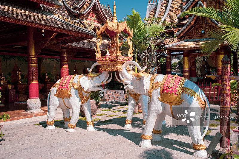 西双版纳傣族园风光图片素材