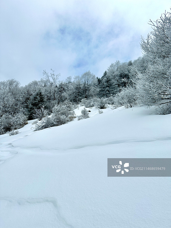 陕西宝鸡秦岭区域冬季雾凇云海景观图片素材