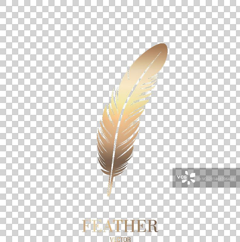 金色蓬松羽毛Logo图标图片素材