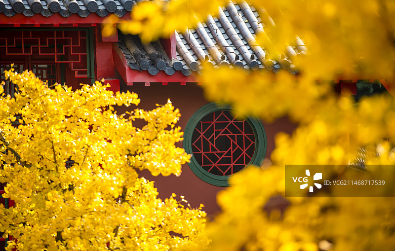 毗卢寺图片素材