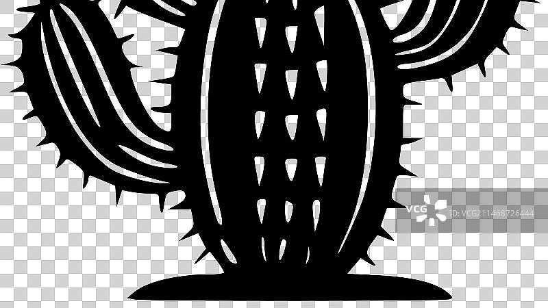 仙人掌 - 黑白图片素材