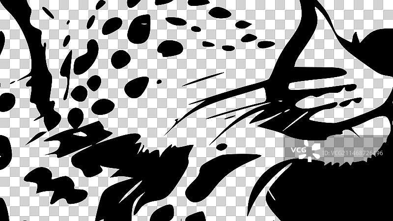 黑白猎豹纹图案隔离图标图片素材