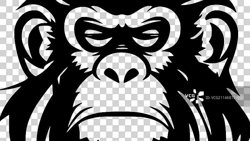 黑白猴子图片素材