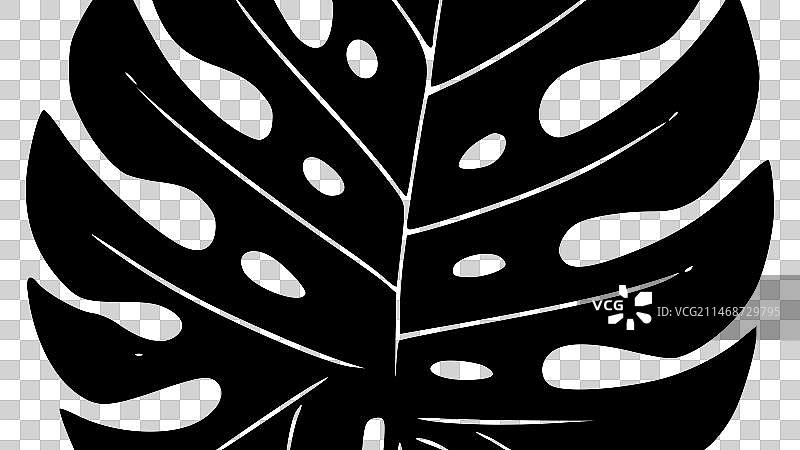 高品质龟背竹标志，适用于T恤图片素材