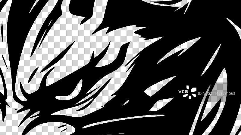 野猫 - 黑白图片素材