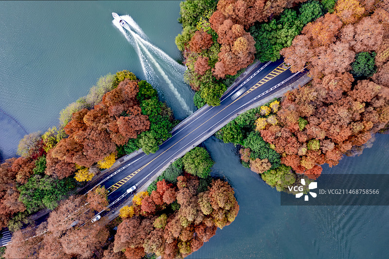 中国浙江杭州西湖景区杨公堤秋景图片素材