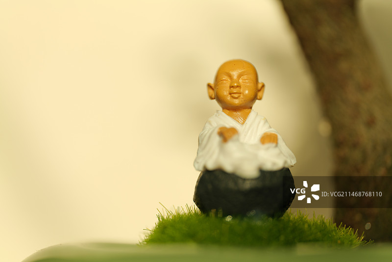 Novice Monks Cultivate Dharma Wisdom图片素材