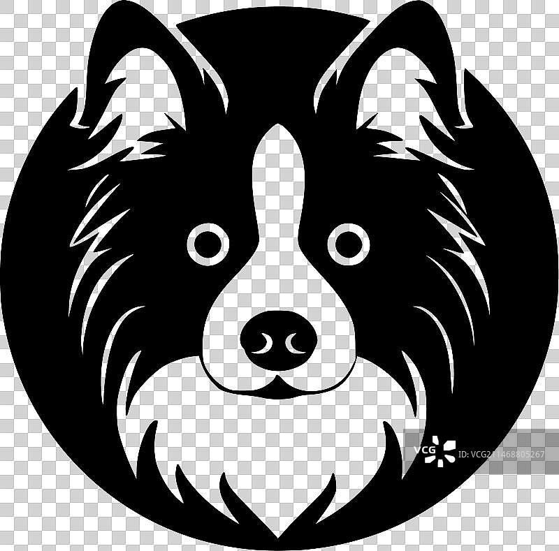 狗——黑白相间图片素材