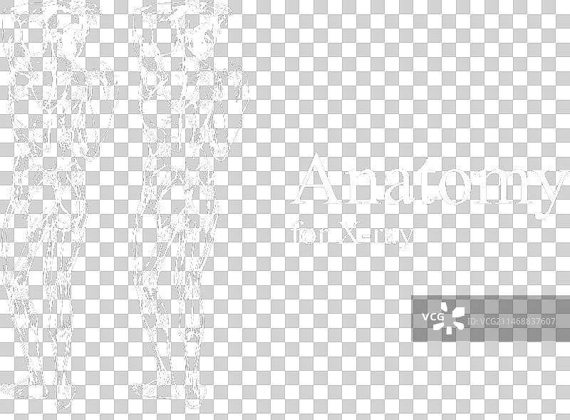 X光视图人体解剖图片素材