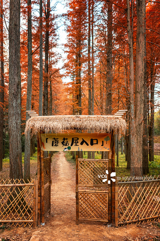 向往的生活蘑菇屋图片素材